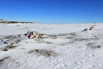 Schneeberg - 25.Oktober 2014_063 - ...rote Markierung...