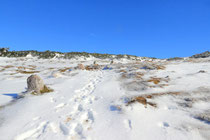 Schneeberg - 25.Oktober 2014_064 - ,,,Spuren im Schnee...