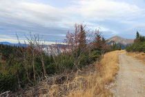 Rax - 02.November 2013 - Blick zum Schneeberg