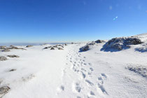 Schneeberg - 25.Oktober 2014_070 - Da geht es auch zur. Bergstation...