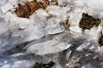 Schneeberg - 25.Oktober 2014_039 - Eis- und Schneekristalle...