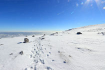 Schneeberg - 25.Oktober 2014_071 - ...wenige Spuren verraten es.