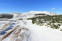 Schneeberg - 25.Oktober 2014_055 - ...wir konnten uns nicht satt sehen!