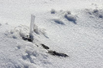 Schneeberg - 25.Oktober 2014_085 - Wunder der Natur,