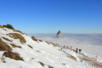 Schneeberg - 25.Oktober 2014_118 - ...uns aber dann doch wieder die Elisabethkirche sehen lässt.