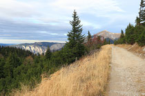 Rax - 02.November 2013 - Blick zum Schneeberg