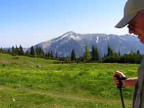 Rax - 19.Juni 2006 - Blick zum Schneeberg