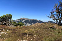 Rax - 06.Oktober 2012 - Blick zum Schneeberg