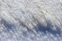 Schneeberg - 25.Oktober 2014_078 - Wieder Schnee vom Wind geformt.