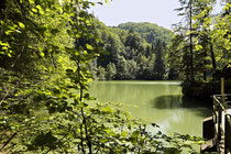 Rappenlochschlucht - 16.Juli 2014 - 14