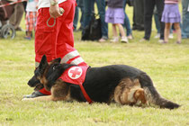 NK_Stadtpark_2013-05-05_170x