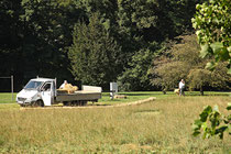 NK_Stadtpark_2013-09-07_005 - ...zu den fleißigen Männern.