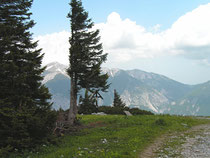 Rax - 19.Juni 2006 - Blick zum Schneeberg