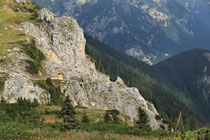 Rax - 16.August 2011 - Blick von der Vilma Haid Aussicht zum Törlweg