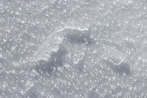 Schneeberg - 25.Oktober 2014_084 - ...mit seiner weißen Pracht.