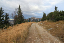 Rax - 02.November 2013 - Blick zum Schneeberg