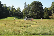 NK_Stadtpark_2013-09-07_006 - Strohballen werden abgeladen und nach Plan verteilt.