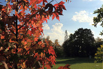 Neunkirchen - Stadtpark - 2013-10-15_43