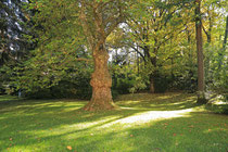 Neunkirchen - Stadtpark - 2013-10-15_13