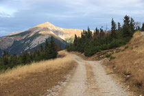 Rax - 02.November 2013 - Blick zum Schneeberg