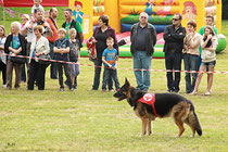 NK_Stadtpark_2013-05-05_166x