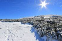 Schneeberg - 25.Oktober 2014_058 - Waxriegel 1888 m mit Sonne