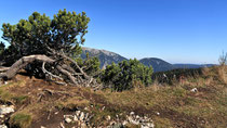 Rax - 06.Oktober 2012 - Blick zum Schneeberg von der Höllentalaussicht