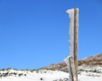 Schneeberg - 25.Oktober 2014_038 - Hier sieht man gut, das es die Tage davor schwere Stürme gab.