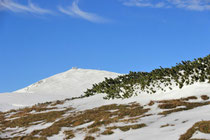 Schneeberg - 25.Oktober 2014_045 - Klosterwappen 2075 m