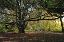 Neunkirchen - Stadtpark - 2013-10-15_35