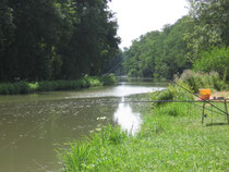 Au bord du canal latéral à la Loire.