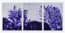 Triptyque de gravures en bleu violet sur papier blanc cassé représentant des silhouettes de branches d’arbres et feuillages fougères entrelacés, réparties sur trois panneaux encadrés.