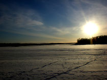 Ein neuer Tag. Strahlende Sonne. Stahlblauer Himmel. Kalte Temperaturen. Jetzt die im Mökki vorhandenen Langlaufski nehmen und raus auf den gefrorenen Päijänne See direkt vor dem Haus!