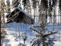 Starten Sie vom Mökki aus mit Langlaufski durch tiefverschneite Wälder oder über den gefrorenen See.