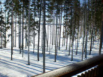 Blick vom Balkon in die schneebedeckte Weite des Päijänne Sees.