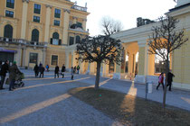 Schönbrunn Palace  /   Canon EOS 60D