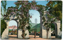 Mit Glycinien umranktes Parktor der Talferanlagen von Gries, 1926 wegen Errichtung vom faschistischen "Siegesdenkmal" geschleift worden. Photochromdruck 9 x 14 cm; Impressum: Gerstenberger & Müller Bozen, 1911-12.  Inv.-Nr.  vu914pcd00072