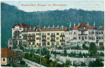 Grand Hotel "Penegal", errichtet im Heimatstil am Mendelpass, Ruffrè im Nonstal, Trentino (damals Ortsteil von Kaltern an der Weinstraße, Südtirol). Photochromdruck 9 x 14 cm; Impressum: Joh(ann). F(ilibert). Amonn, Bozen 1905.  Inv.-Nr. vu914pcd00139