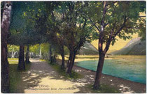 Baumgesäumte Strandpromenade beim Hotel "Fürstenhaus" in Pertisau, Gemeinde Eben, Bzk. Schwaz, Tirol von Süden. Photochromdruck 9 x 14 cm; Impressum: Robert Warger, Innsbruck 1910.  Inv.-Nr. vu914pcd00359