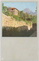 "Am Gardasee: In den Weinbergen bei Riva" (heute Riva del Garda, Provinz Trient). Farbautotypie nach Dreifarbenphotographie - System Prof. Dr. Adolf Miethe (1862-1927) 9 x 14 cm ohne Impressum, um 1900.  Inv.-Nr. vu914fat00131