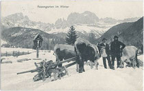 Winterliche Holzbringung im Gebiet der Rosengartengruppe, Südtirol. Lichtdruck 9x14cm; A. Figl & Co., Bozen um 1905.  Inv.-Nr. vu914ld00019