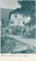 Ansitz (Bad) Thurmbach in St. Pauls, Gemeinde Eppan. Offsetdruck 9 x 14 cm ohne Impressum, um 1910.  Inv.-Nr. vu914at00001