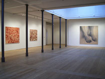 Ausstellungsansicht "Close Up", Art Centre Silkeborg Bad, Dänemark