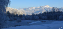 Etang des chartreux gelé