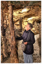 Nebelhöhle bei Genkingen