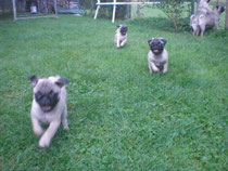 die Bande ist los!!!!