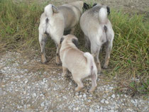 Donna Lucia , Kira & Carla