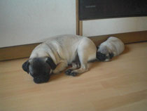 Carla mit Halbschwester Doris Day