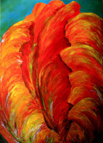 Papageien-Tulpe, 50x70cm  B108