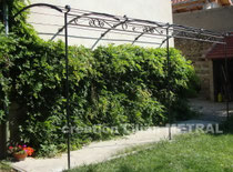 N°4